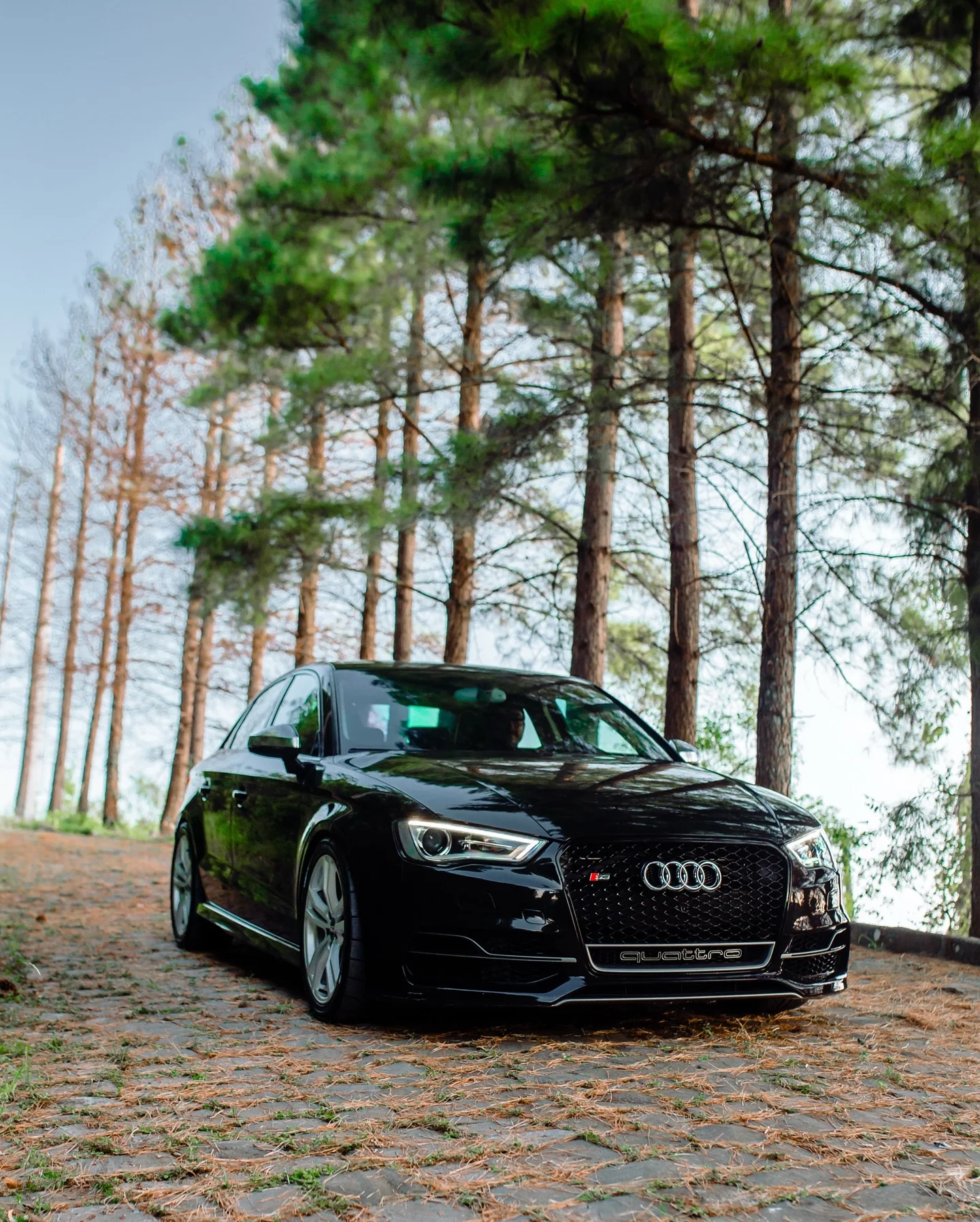 Audi S3 preto preparado pela MotorHaus, em ensaio ao ar livre entre árvores.